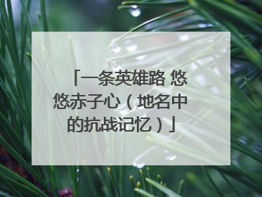 一条英雄路 悠悠赤子心（地名中的抗战记忆）