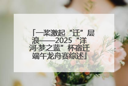 一桨激起“迁”层浪——2025“洋河·梦之蓝”杯宿迁端午龙舟赛综述