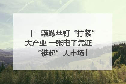 一颗螺丝钉“拧紧”大产业 一张电子凭证“链起”大市场