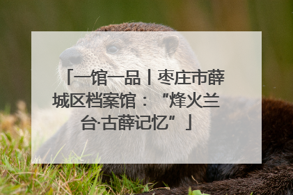 一馆一品丨枣庄市薛城区档案馆：“烽火兰台·古薛记忆”
