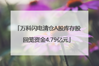 万科闪电清仓A股库存股 回笼资金4.79亿元