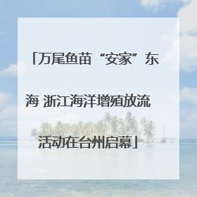 万尾鱼苗“安家”东海 浙江海洋增殖放流活动在台州启幕