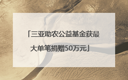 三亚助农公益基金获最大单笔捐赠50万元