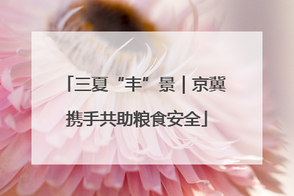 三夏“丰”景｜京冀携手共助粮食安全