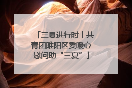 三夏进行时丨共青团睢阳区委暖心慰问助“三夏”