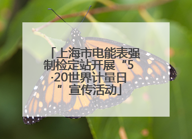 上海市电能表强制检定站开展“5·20世界计量日”宣传活动