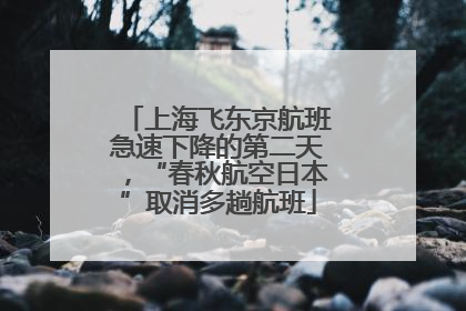 上海飞东京航班急速下降的第二天，“春秋航空日本”取消多趟航班
