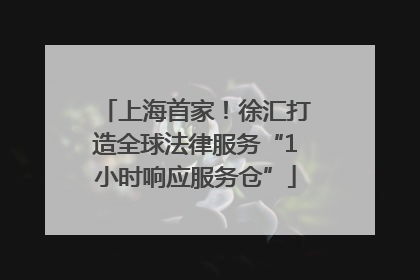 上海首家！徐汇打造全球法律服务“1小时响应服务仓”
