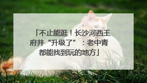 不止能逛！长沙河西王府井“升级了”：老中青都能找到玩的地方