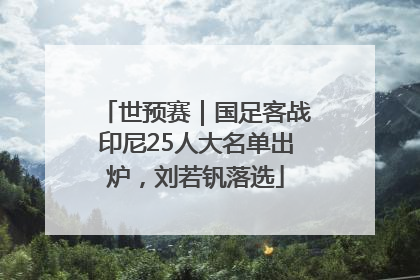 世预赛｜国足客战印尼25人大名单出炉，刘若钒落选