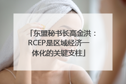 东盟秘书长高金洪：RCEP是区域经济一体化的关键支柱