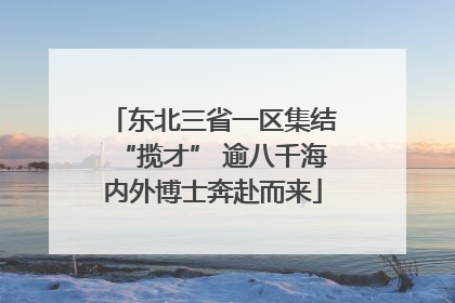 东北三省一区集结“揽才” 逾八千海内外博士奔赴而来