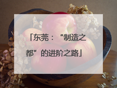 东莞：“制造之都”的进阶之路