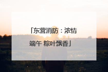 东营消防：浓情端午 粽叶飘香
