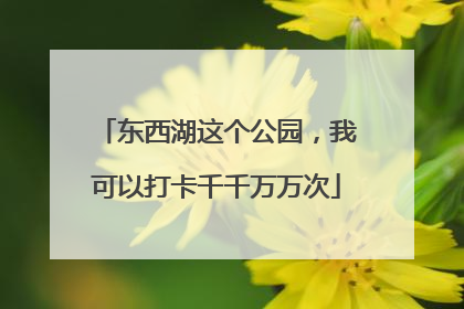 东西湖这个公园，我可以打卡千千万万次