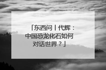 东西问丨代辉：中国恐龙化石如何对话世界？