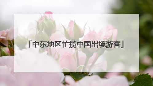 中东地区忙揽中国出境游客