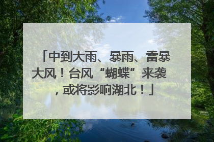 中到大雨、暴雨、雷暴大风！台风“蝴蝶”来袭，或将影响湖北！