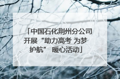 中国石化荆州分公司开展“助力高考 为梦护航” 暖心活动