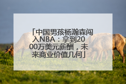 中国男孩杨瀚森闯入NBA：拿到2000万美元薪酬，未来商业价值几何