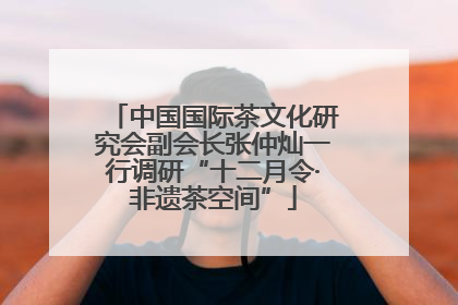 中国国际茶文化研究会副会长张仲灿一行调研“十二月令·非遗茶空间”