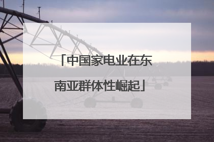 中国家电业在东南亚群体性崛起