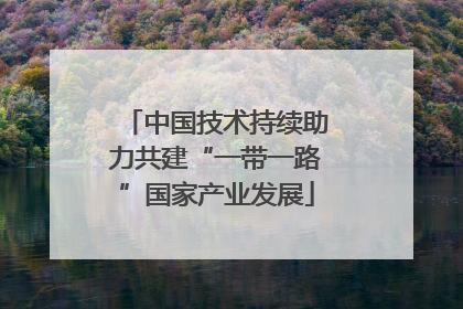 中国技术持续助力共建“一带一路”国家产业发展