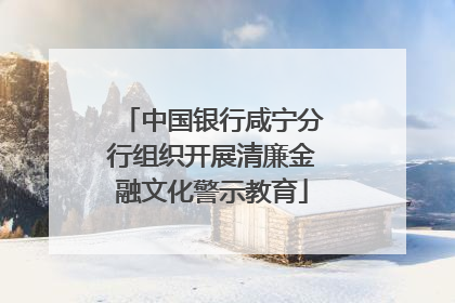 中国银行咸宁分行组织开展清廉金融文化警示教育