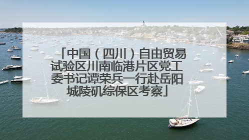 中国（四川）自由贸易试验区川南临港片区党工委书记谭荣兵一行赴岳阳城陵矶综保区考察