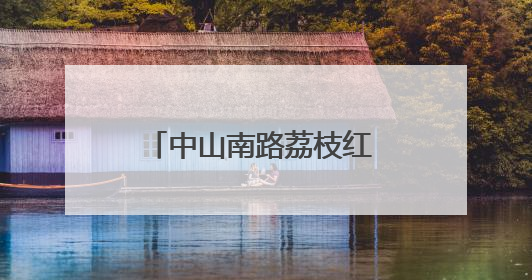 中山南路荔枝红 只赏不摘共守护