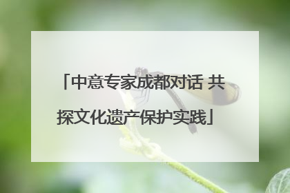 中意专家成都对话 共探文化遗产保护实践