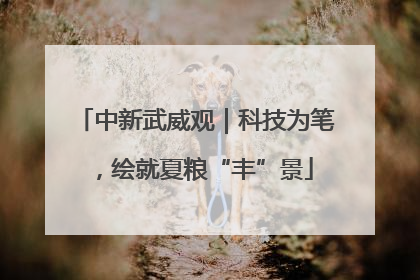 中新武威观｜科技为笔，绘就夏粮“丰”景