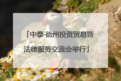 中泰·德州投资贸易暨法律服务交流会举行