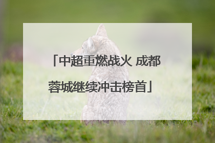 中超重燃战火 成都蓉城继续冲击榜首