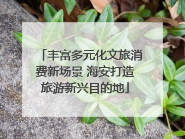丰富多元化文旅消费新场景 海安打造旅游新兴目的地