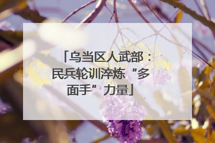 乌当区人武部：民兵轮训淬炼“多面手”力量