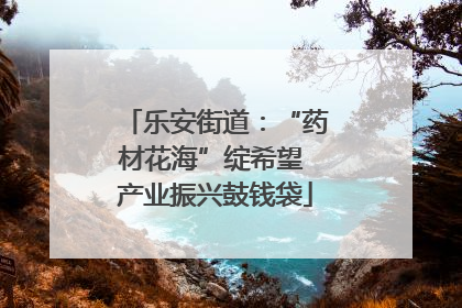 乐安街道：“药材花海”绽希望 产业振兴鼓钱袋
