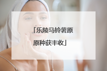 乐陵马铃薯原原种获丰收
