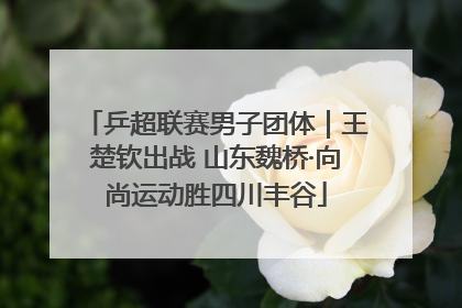 乒超联赛男子团体｜王楚钦出战 山东魏桥·向尚运动胜四川丰谷