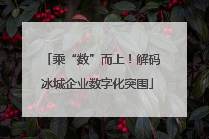 乘“数”而上！解码冰城企业数字化突围