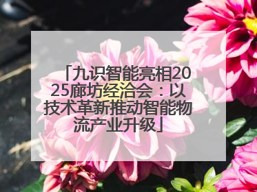 九识智能亮相2025廊坊经洽会：以技术革新推动智能物流产业升级