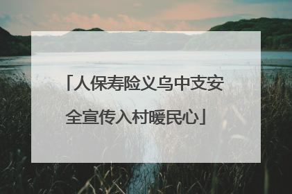 人保寿险义乌中支安全宣传入村暖民心