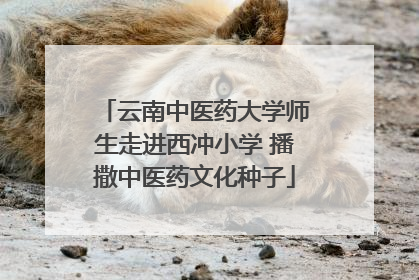 云南中医药大学师生走进西冲小学 播撒中医药文化种子