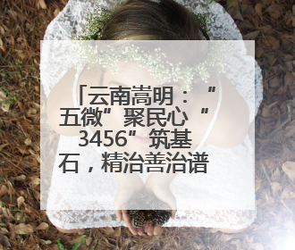 云南嵩明：“五微”聚民心“3456”筑基石，精治善治谱新篇