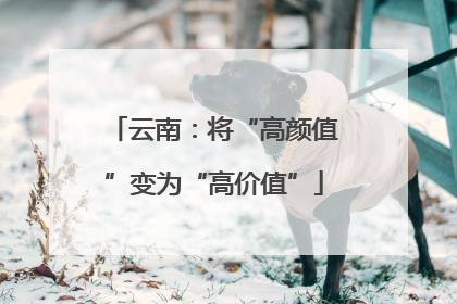 云南：将“高颜值”变为“高价值”