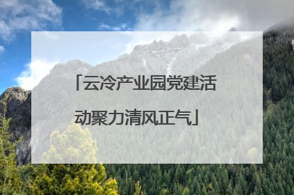 云冷产业园党建活动聚力清风正气