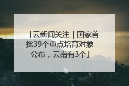 云新闻关注｜国家首批39个重点培育对象公布，云南有3个