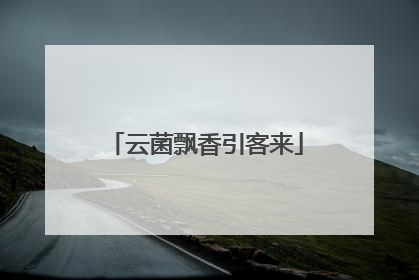 云菌飘香引客来