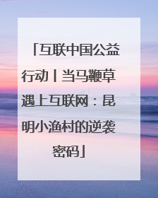 互联中国公益行动丨当马鞭草遇上互联网：昆明小渔村的逆袭密码