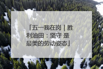 五一我在岗｜胜利油田：坚守 是最美的劳动姿态